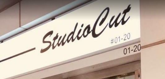 Electric hair: Studio Cut