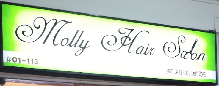 Hair Colouring: Molly Hair Salon 苿莉美髮院
