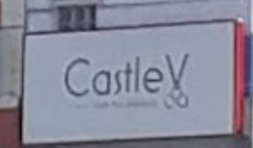 Hair Colouring: Castle V