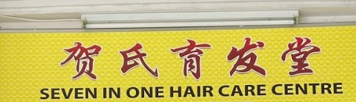 Hair Product: Seven In One Hair Care Center 贺氏育发堂
