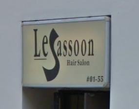 Electric hair: Le Sassoon Hair Salon