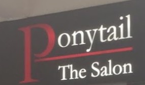 Electric hair: Ponytail The Salon