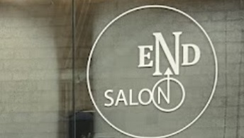 Electric hair: End Salon