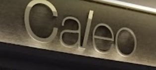 Electric hair: Caleo Salon