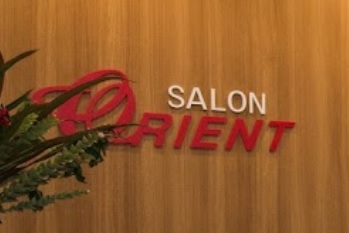 Electric hair: Salon Orient
